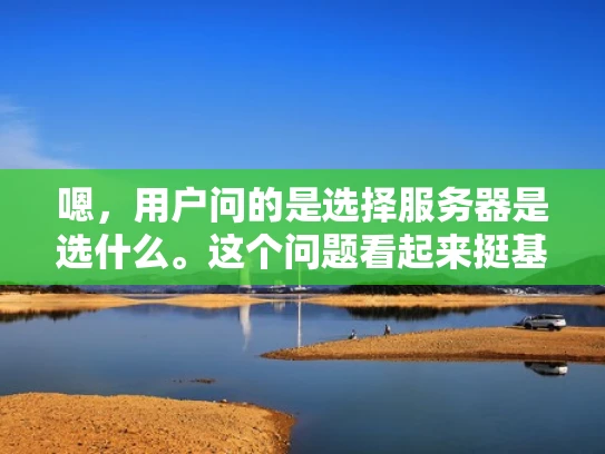嗯，用户问的是选择服务器是选什么。这个问题看起来挺基础的，但作为专业网络安全人员，我得仔细分析一下，确保给出的答案全面且有深度