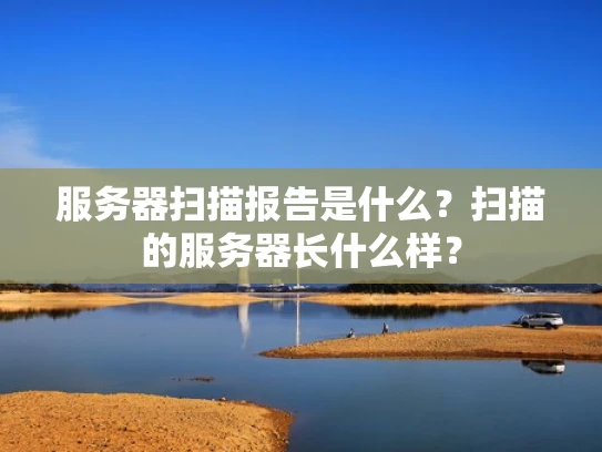 服务器扫描报告是什么？扫描的服务器长什么样？