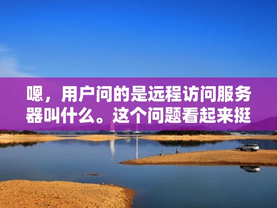 嗯，用户问的是远程访问服务器叫什么。这个问题看起来挺基础的，但作为专业网络安全人员，我得确保回答全面且专业。首先，我需要明确远程访问指的是什么，通常是指通过网络连接到另一台服务器上进行操作或访问数据