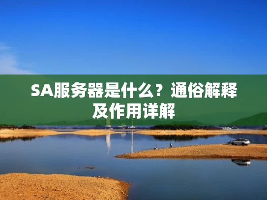 SA服务器是什么？通俗解释及作用详解