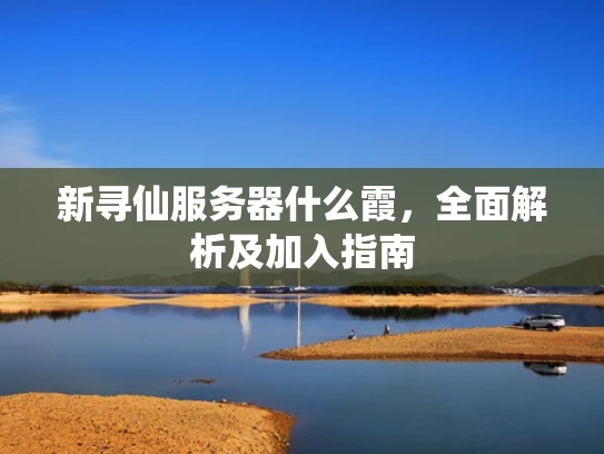 新寻仙服务器什么霞，全面解析及加入指南