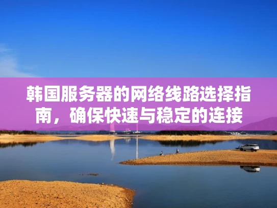 韩国服务器的网络线路选择指南，确保快速与稳定的连接