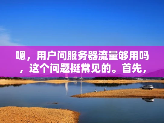 嗯，用户问服务器流量够用吗，这个问题挺常见的。首先，我得理解用户的需求。可能他们刚部署了一个新的应用或者服务，担心服务器的流量会不会不够，导致性能下降或者业务中断
