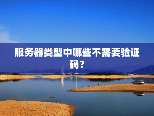 服务器类型中哪些不需要验证码？