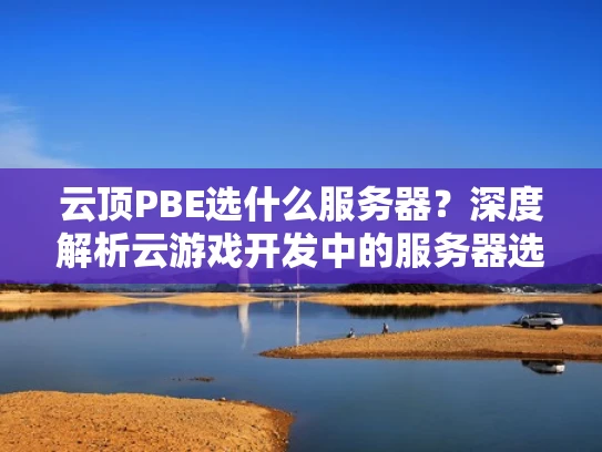 云顶PBE选什么服务器？深度解析云游戏开发中的服务器选择