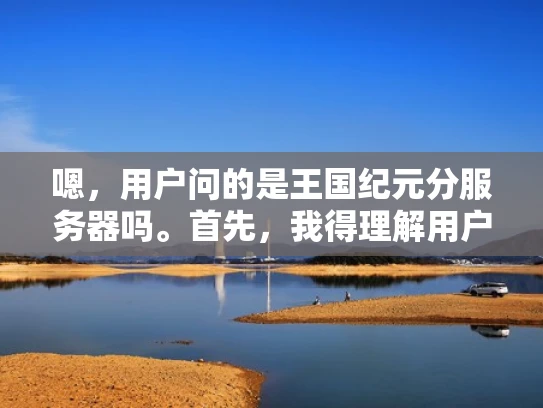 嗯，用户问的是王国纪元分服务器吗。首先，我得理解用户的问题。王国纪元应该是一个游戏或者软件，用户想知道它的服务器是不是可以分开管理或者分部署。这可能涉及到游戏开发、云部署或者软件服务的管理