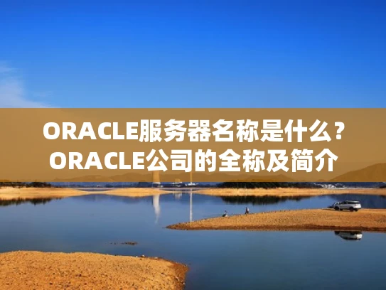 ORACLE服务器名称是什么？ORACLE公司的全称及简介