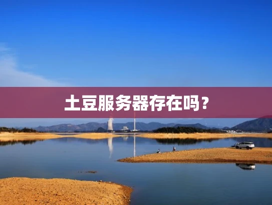土豆服务器存在吗？