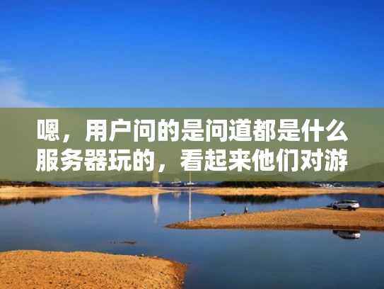 嗯，用户问的是问道都是什么服务器玩的，看起来他们对游戏服务器有一定的兴趣，可能是在玩问道这个游戏，或者对游戏服务器的整体结构和类型感兴趣。首先，我需要分析用户的问题，确定他们的主要需求是什么