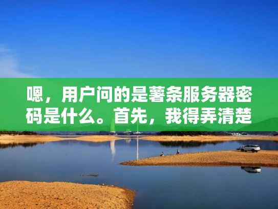 嗯，用户问的是薯条服务器密码是什么。首先，我得弄清楚薯条指的是什么。可能是一个品牌或者某个特定的服务器提供商。如果是品牌，可能需要先确认具体是哪家公司提供的服务，因为不同公司提供的服务器密码可能不同