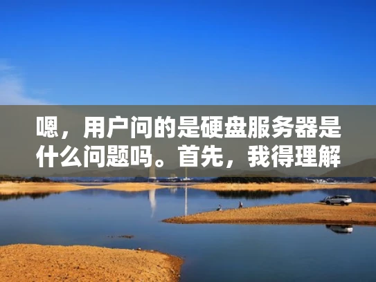 嗯，用户问的是硬盘服务器是什么问题吗。首先，我得理解用户的问题。他可能在问关于硬盘服务器的常见问题，或者他遇到了具体的问题，想了解该怎么解决