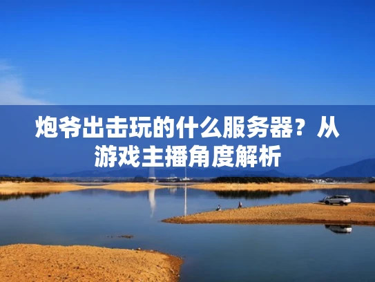 炮爷出击玩的什么服务器？从游戏主播角度解析