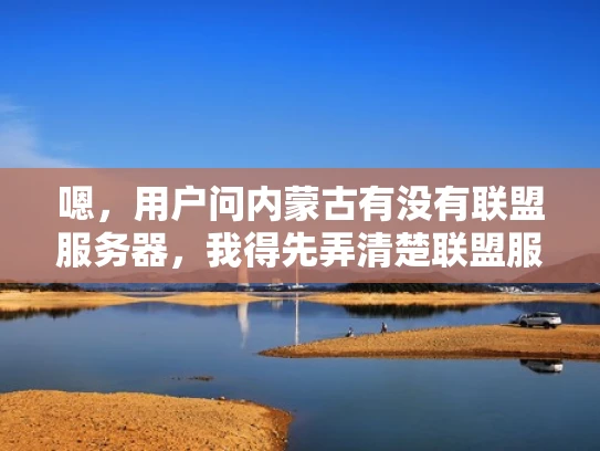 嗯，用户问内蒙古有没有联盟服务器，我得先弄清楚联盟服务器是什么。联盟服务器应该是指大型游戏或者平台使用的服务器，可能有多个服务器组成联盟，用于提高游戏的运行效率或者数据的安全性
