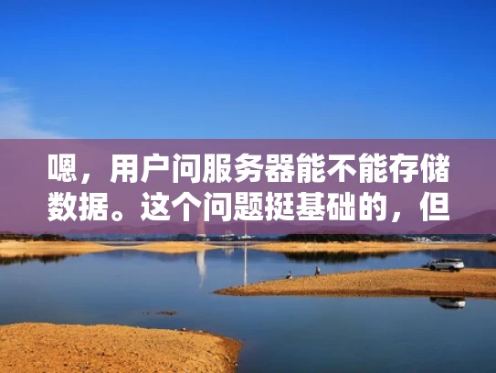 嗯，用户问服务器能不能存储数据。这个问题挺基础的，但作为新手，可能对服务器的理解还不够深入。我得先解释服务器是什么，然后详细说明它如何存储数据，同时结合一些实际例子，让内容更生动