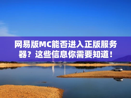 网易版MC能否进入正版服务器？这些信息你需要知道！
