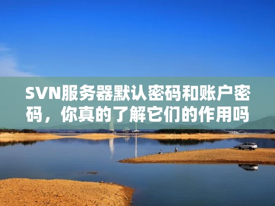SVN服务器默认密码和账户密码，你真的了解它们的作用吗？