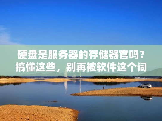硬盘是服务器的存储器官吗？搞懂这些，别再被软件这个词坑了！