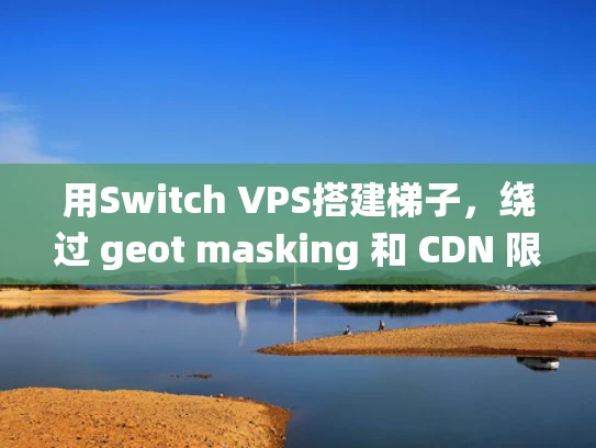 用Switch VPS搭建梯子，绕过 geot masking 和 CDN 限制的全过程指南