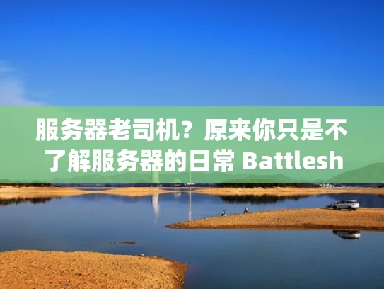 服务器老司机？原来你只是不了解服务器的日常 Battleship！