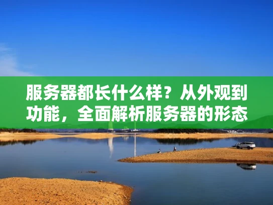 服务器都长什么样？从外观到功能，全面解析服务器的形态