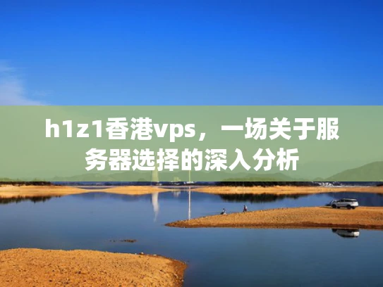 h1z1香港vps，一场关于服务器选择的深入分析