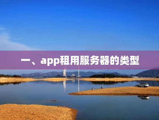 一、app租用服务器的类型