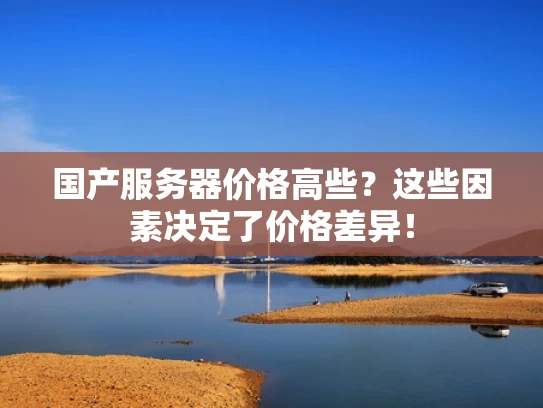 国产服务器价格高些？这些因素决定了价格差异！