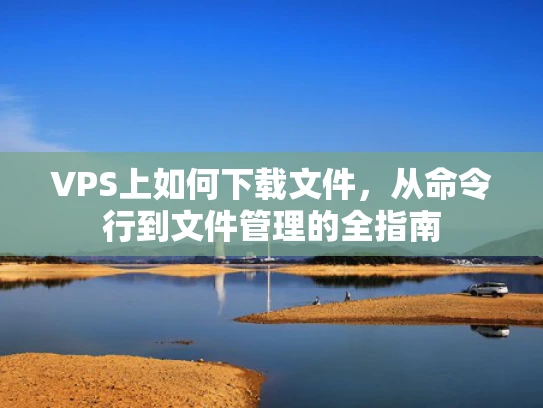 VPS上如何下载文件，从命令行到文件管理的全指南