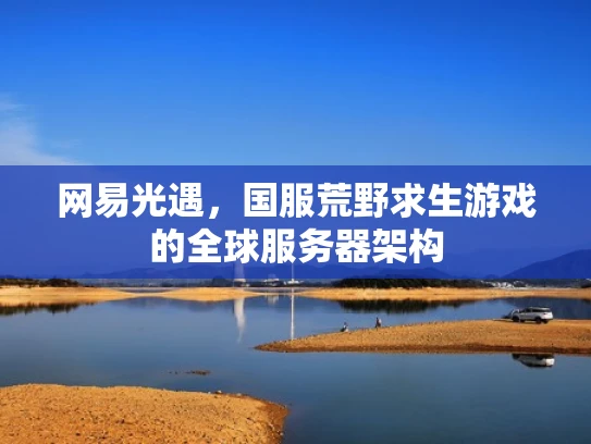 网易光遇，国服荒野求生游戏的全球服务器架构