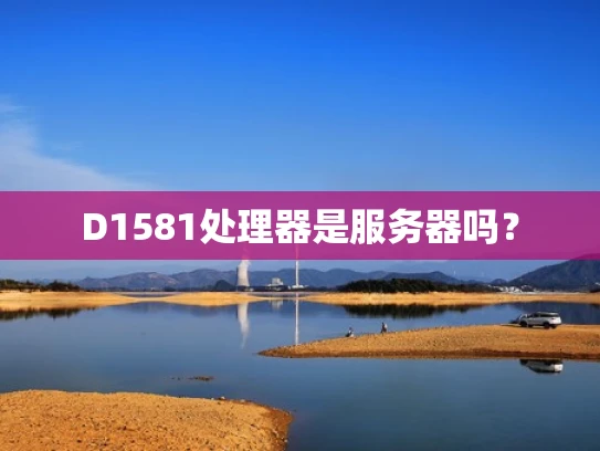 D1581处理器是服务器吗？