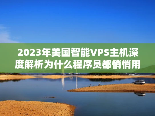 2023年美国智能VPS主机深度解析为什么程序员都悄悄用它？