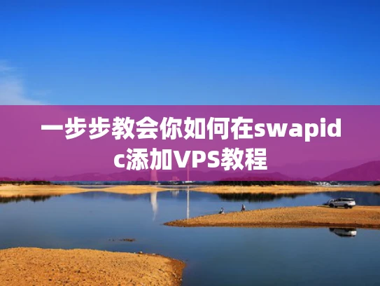 一步步教会你如何在swapidc添加VPS教程