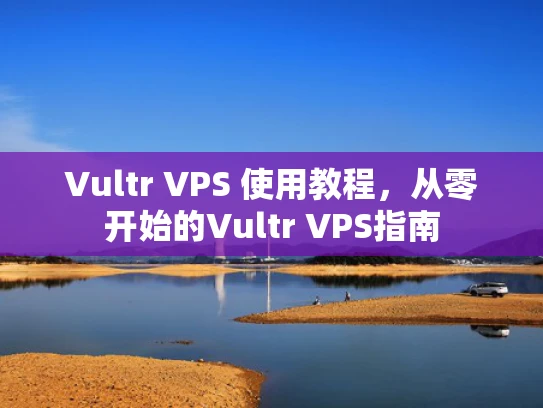 Vultr VPS 使用教程，从零开始的Vultr VPS指南