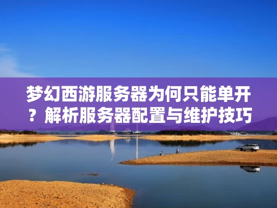 梦幻西游服务器为何只能单开？解析服务器配置与维护技巧