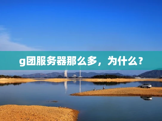 g团服务器那么多，为什么？