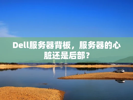 Dell服务器背板，服务器的心脏还是后部？