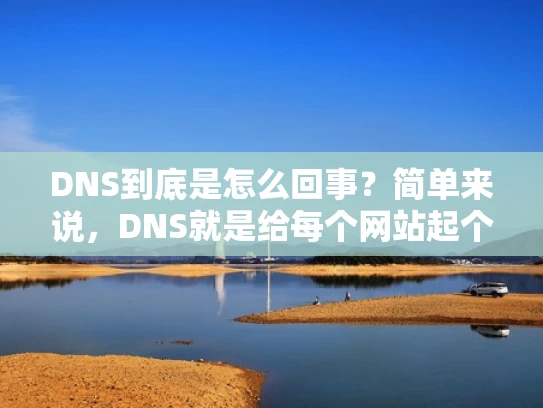 DNS到底是怎么回事？简单来说，DNS就是给每个网站起个 address
