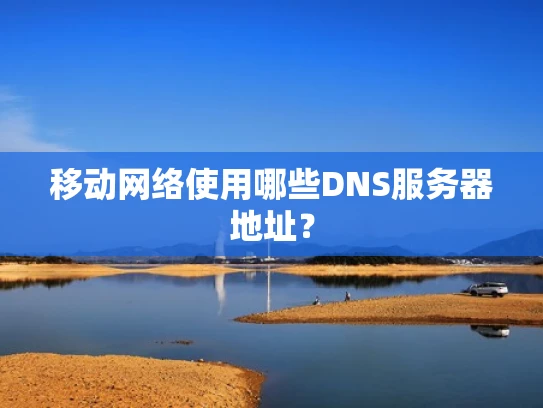 移动网络使用哪些DNS服务器地址？