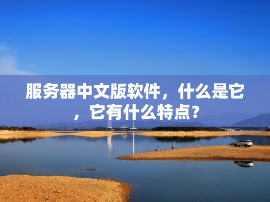 服务器中文版软件，什么是它，它有什么特点？