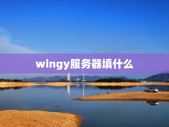 wingy服务器填什么