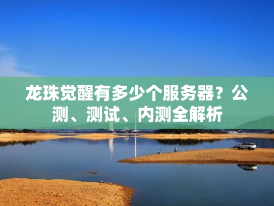 龙珠觉醒有多少个服务器？公测、测试、内测全解析