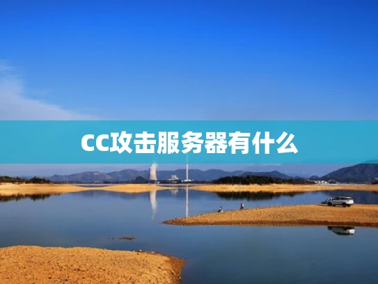CC攻击服务器有什么