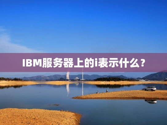 IBM服务器上的i表示什么？