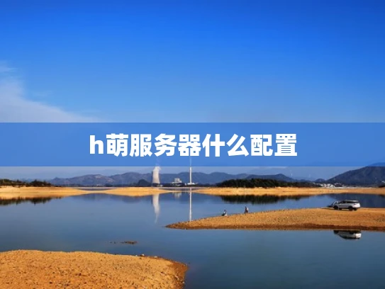 h萌服务器什么配置