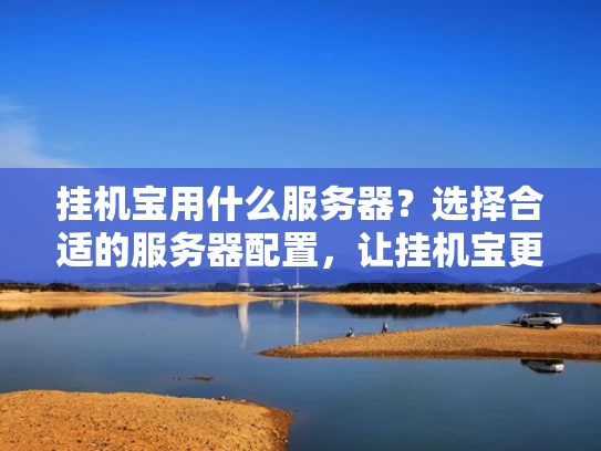 挂机宝用什么服务器？选择合适的服务器配置，让挂机宝更高效