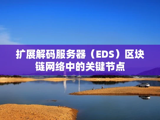扩展解码服务器（EDS）区块链网络中的关键节点