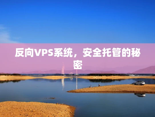 反向VPS系统，安全托管的秘密
