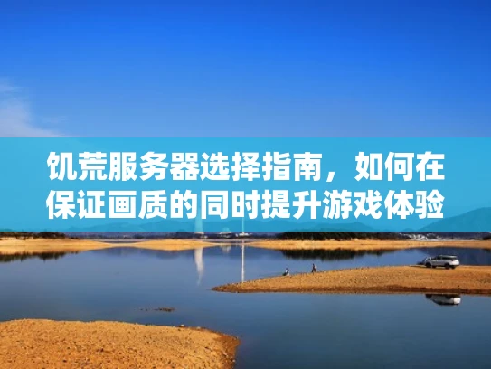 饥荒服务器选择指南，如何在保证画质的同时提升游戏体验