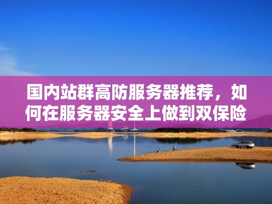 国内站群高防服务器推荐，如何在服务器安全上做到双保险？