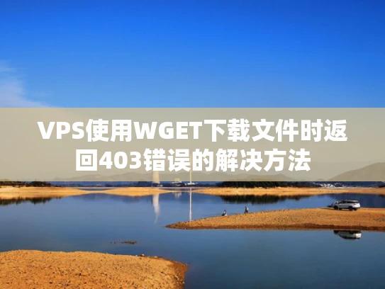 VPS使用WGET下载文件时返回403错误的解决方法